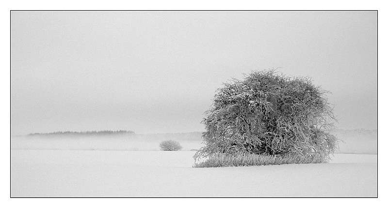 Winterlandschaft II