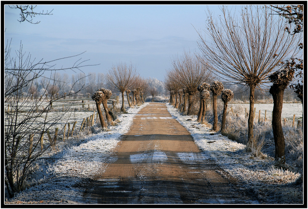 Winterlandschaft II