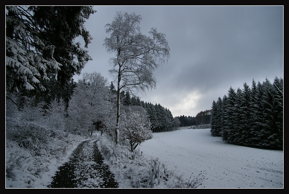 Winterlandschaft II