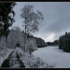 Winterlandschaft II