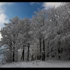 Winterlandschaft II