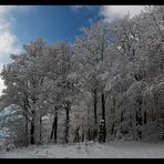 Winterlandschaft II