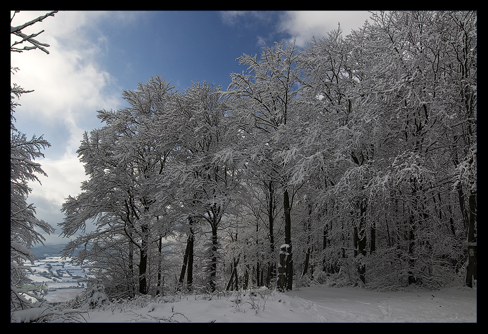 Winterlandschaft II