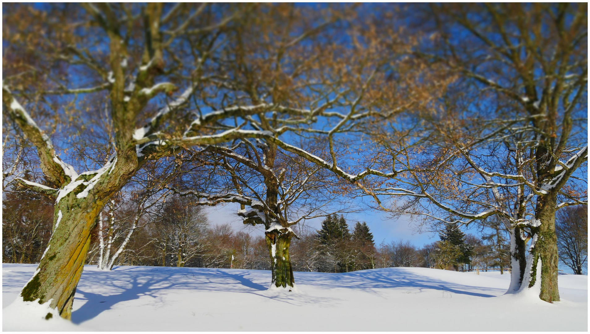 Winterlandschaft (II)