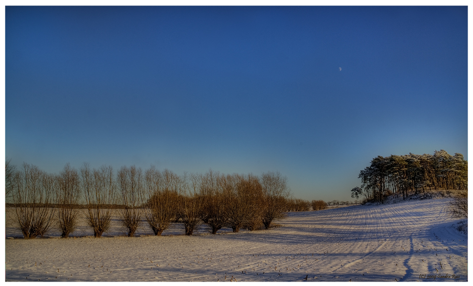 Winterlandschaft III