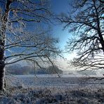 Winterlandschaft III