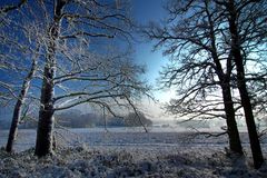 Winterlandschaft III