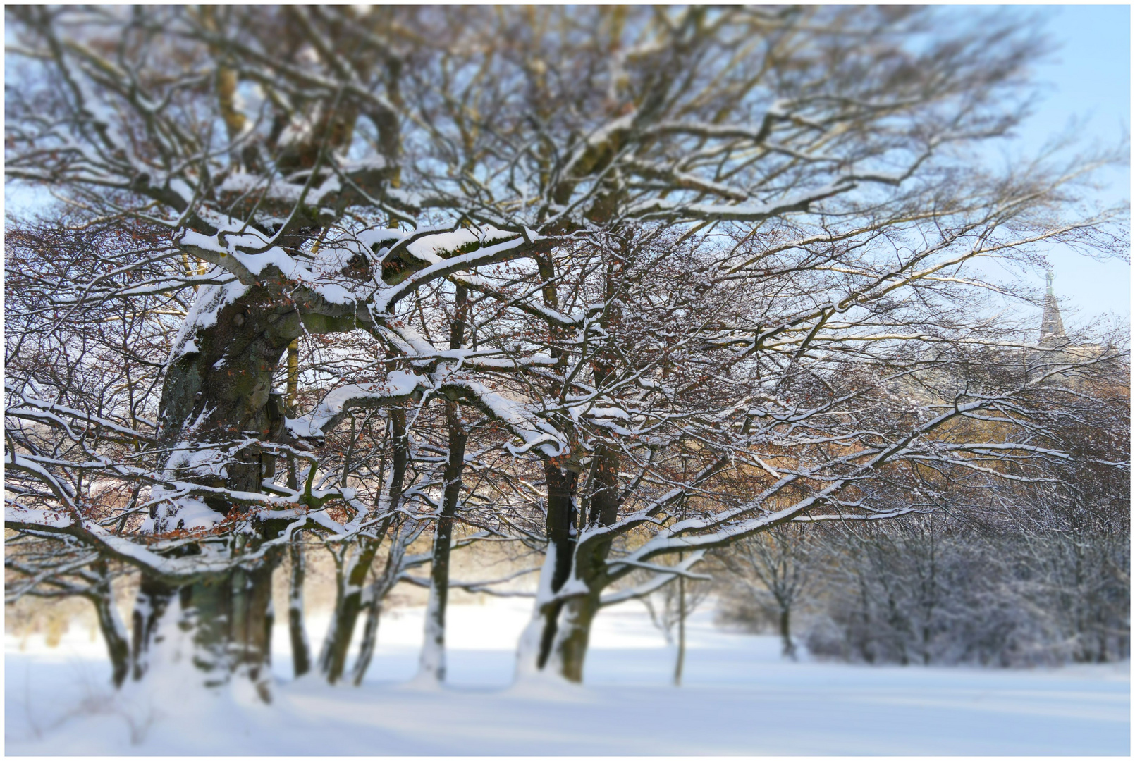 Winterlandschaft (III)