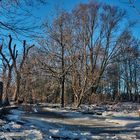 Winterlandschaft III