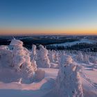 Winterlandschaft im Abendlicht