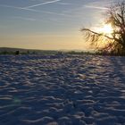 Winterlandschaft im Abendlicht