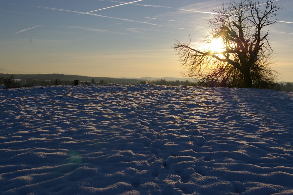 Winterlandschaft im Abendlicht von RoadRunner61 