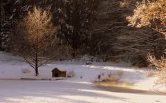 Winterlandschaft im Abendlicht