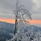 Winterlandschaft im Abendlicht