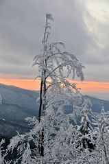 Winterlandschaft im Abendlicht