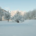 Winterlandschaft im Allgäu