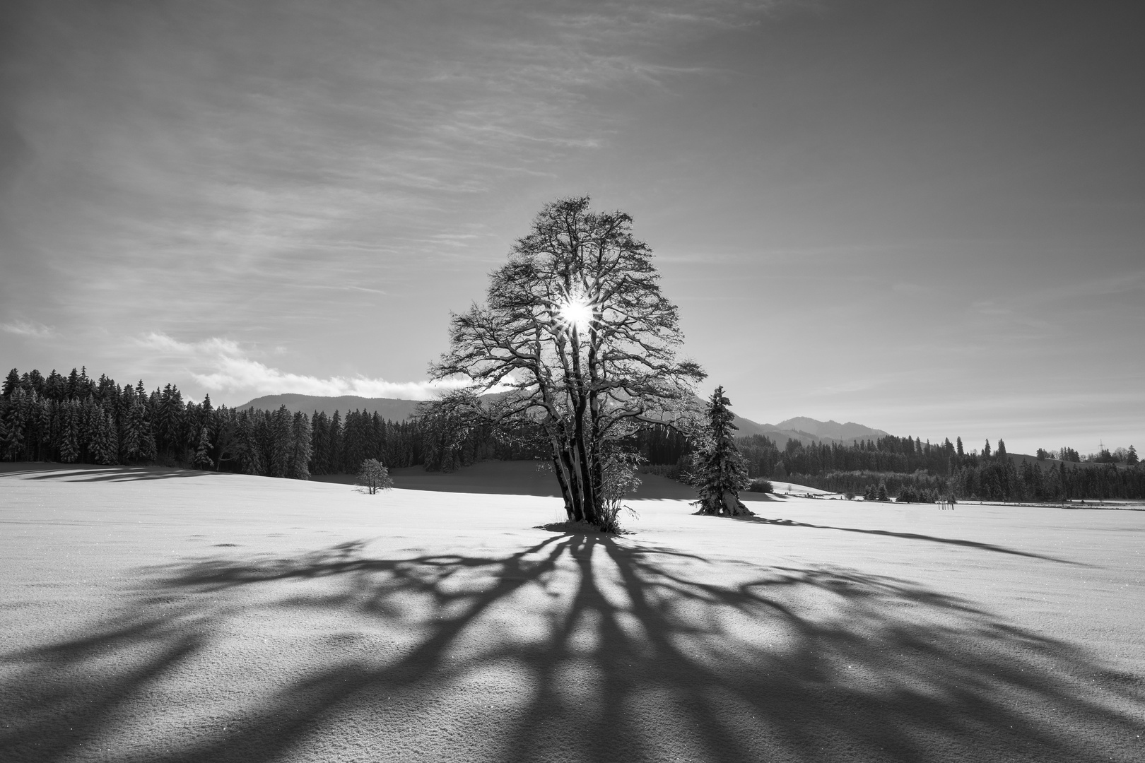 Winterlandschaft im Allgäu