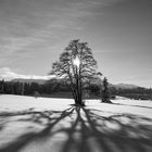 Winterlandschaft im Allgäu