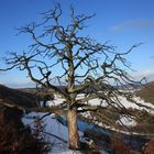 Winterlandschaft im Altmühltal