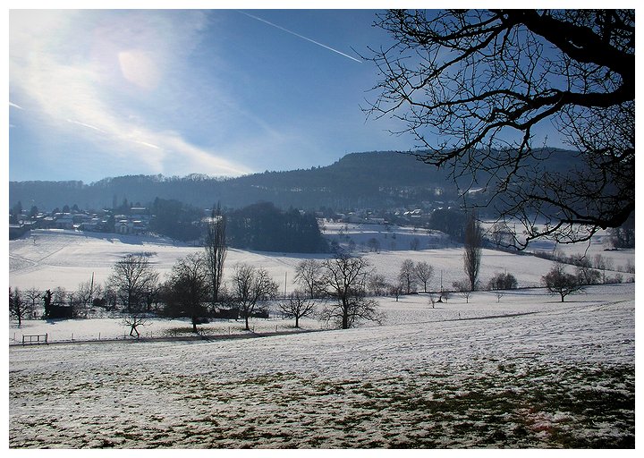 Winterlandschaft im Basel-Land