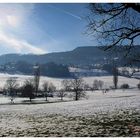 Winterlandschaft im Basel-Land