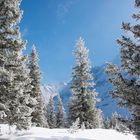 Winterlandschaft im Berner Oberland