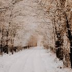 Winterlandschaft im Brook