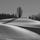 Winterlandschaft im Emmental