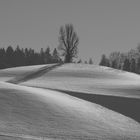 Winterlandschaft im Emmental Version 1