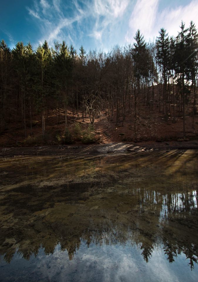 Winterlandschaft im Februar 2014