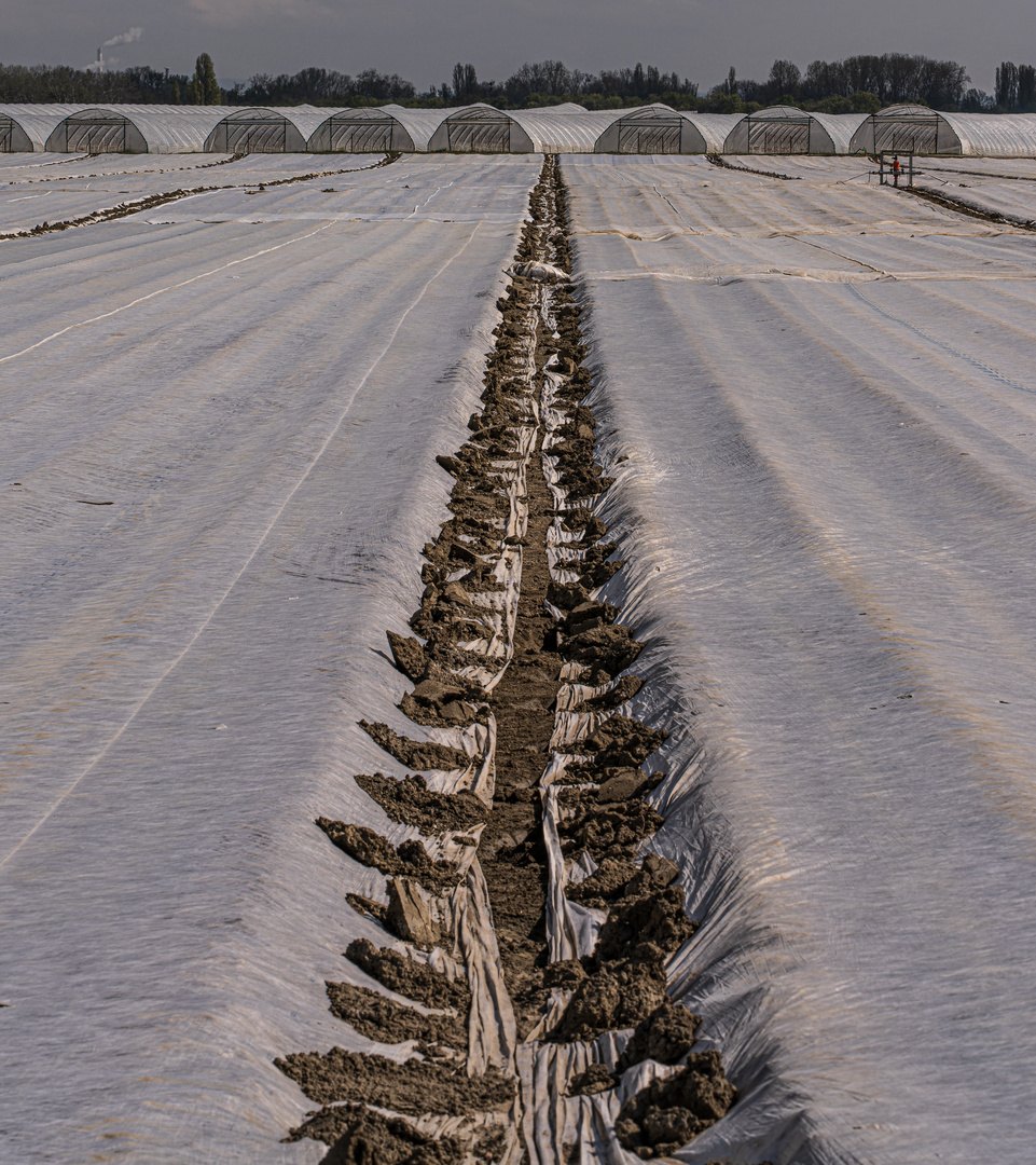 Winterlandschaft im Frühjahr