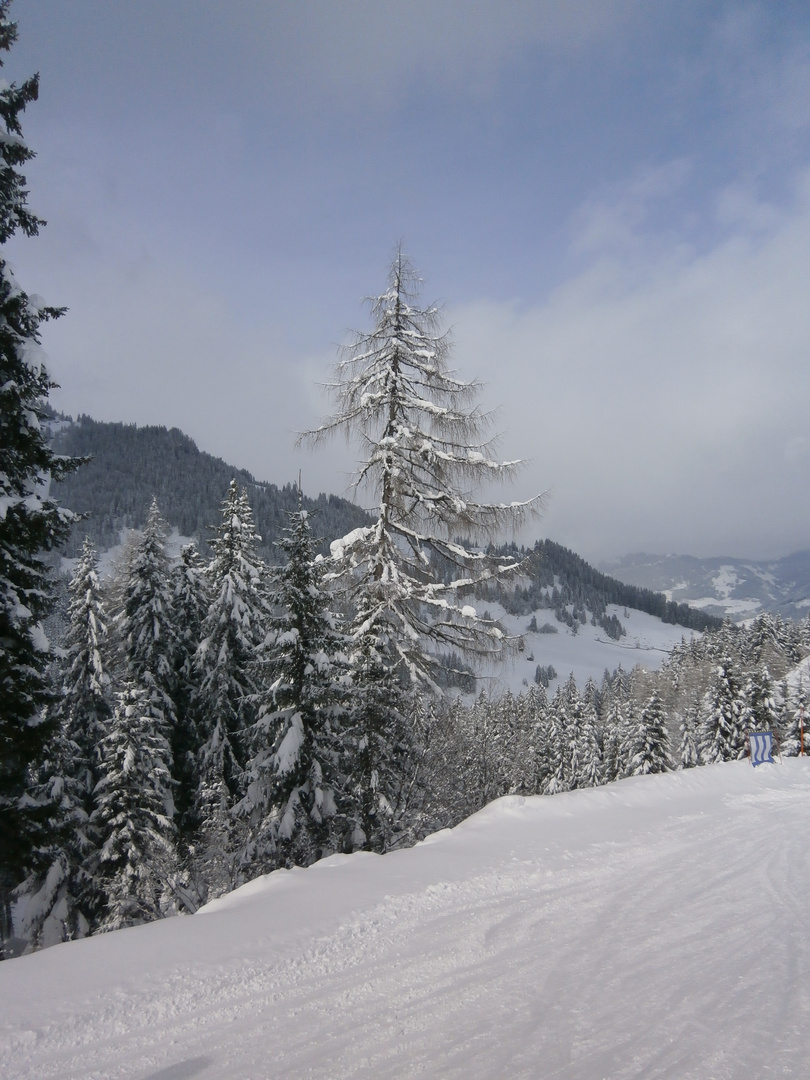 Winterlandschaft im Frühling