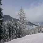 Winterlandschaft im Frühling