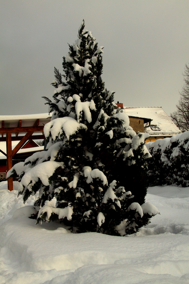 Winterlandschaft im Garten