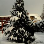 Winterlandschaft im Garten