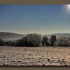 Winterlandschaft im Gegenlicht