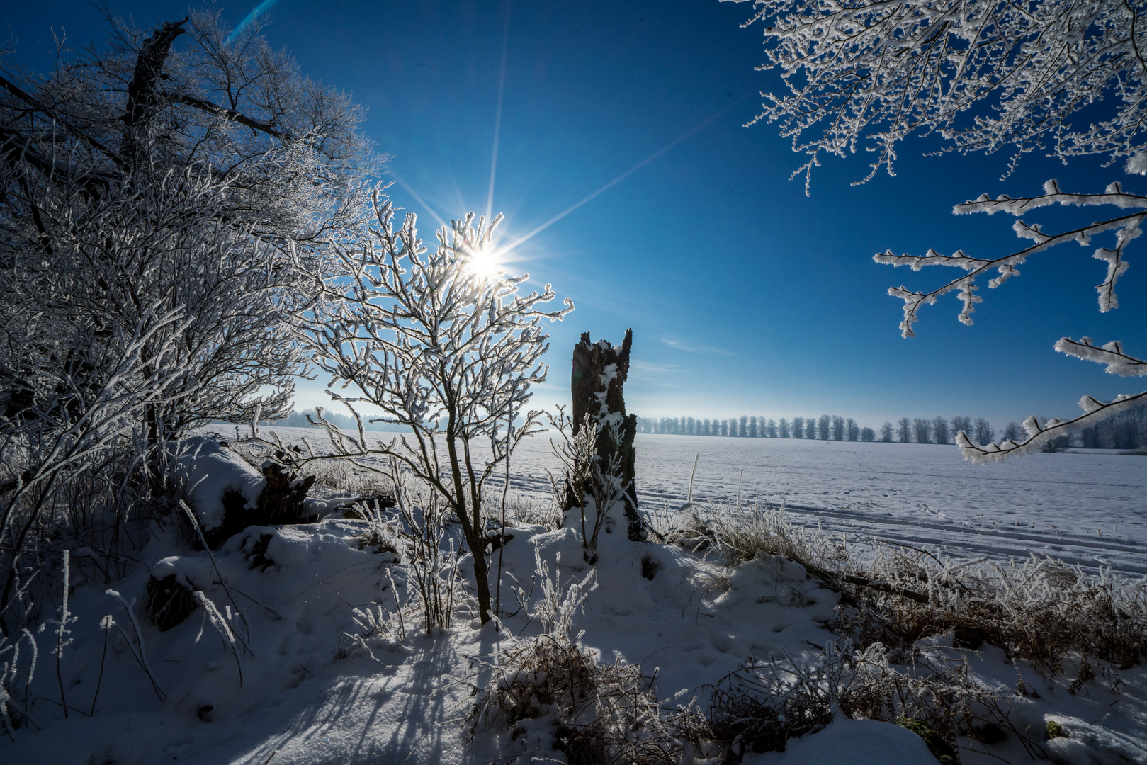 Winterlandschaft im Gegenlicht