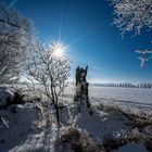 Winterlandschaft im Gegenlicht