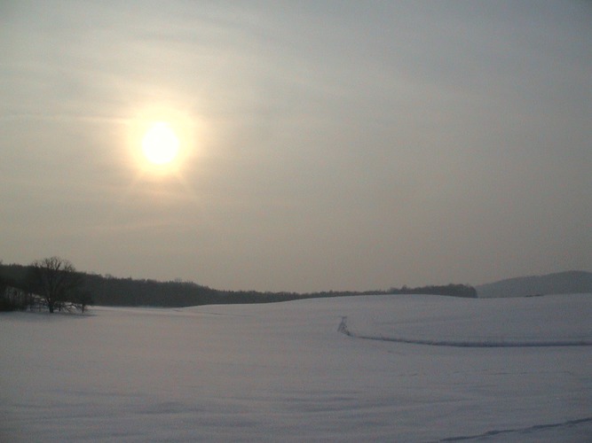 Winterlandschaft im Gegenlicht