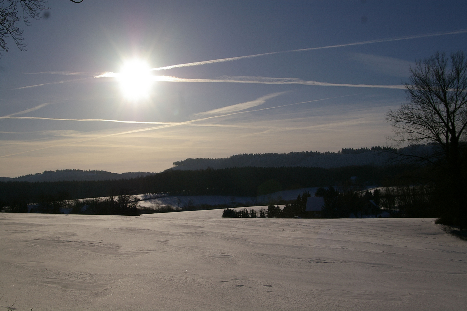 Winterlandschaft im Gegenlicht