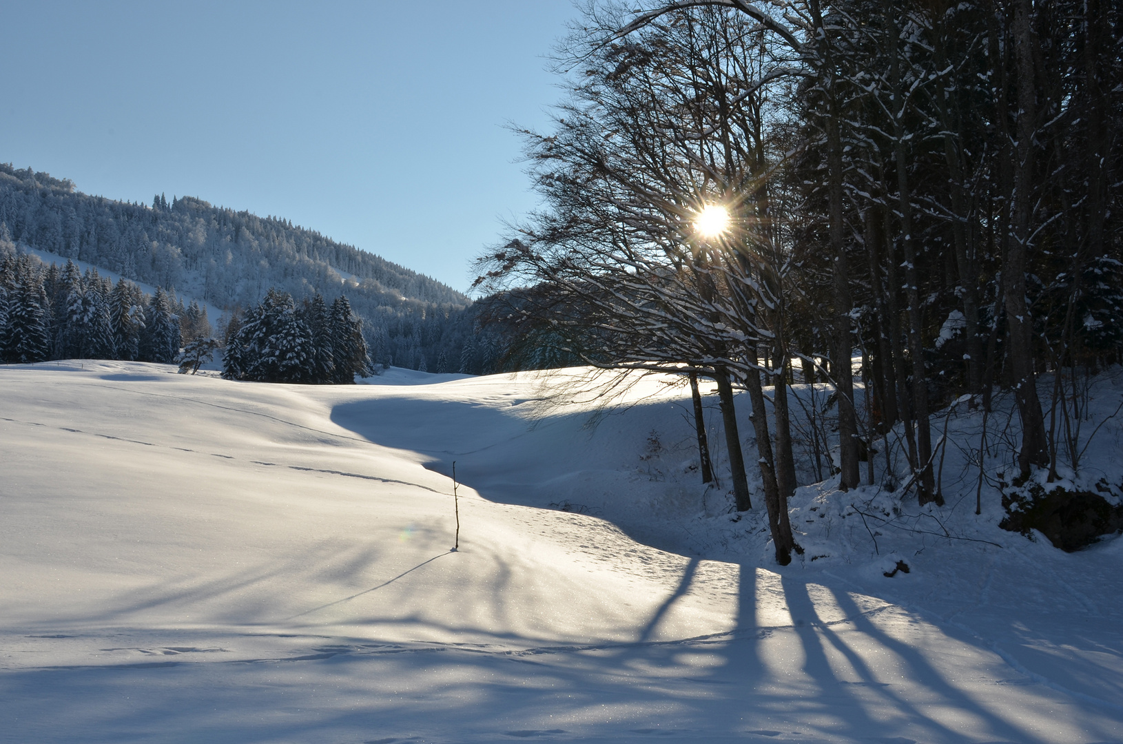 Winterlandschaft im Guldental