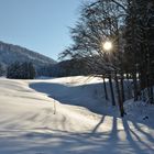 Winterlandschaft im Guldental