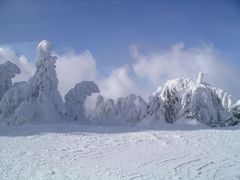 Winterlandschaft im Harz ( 2 )