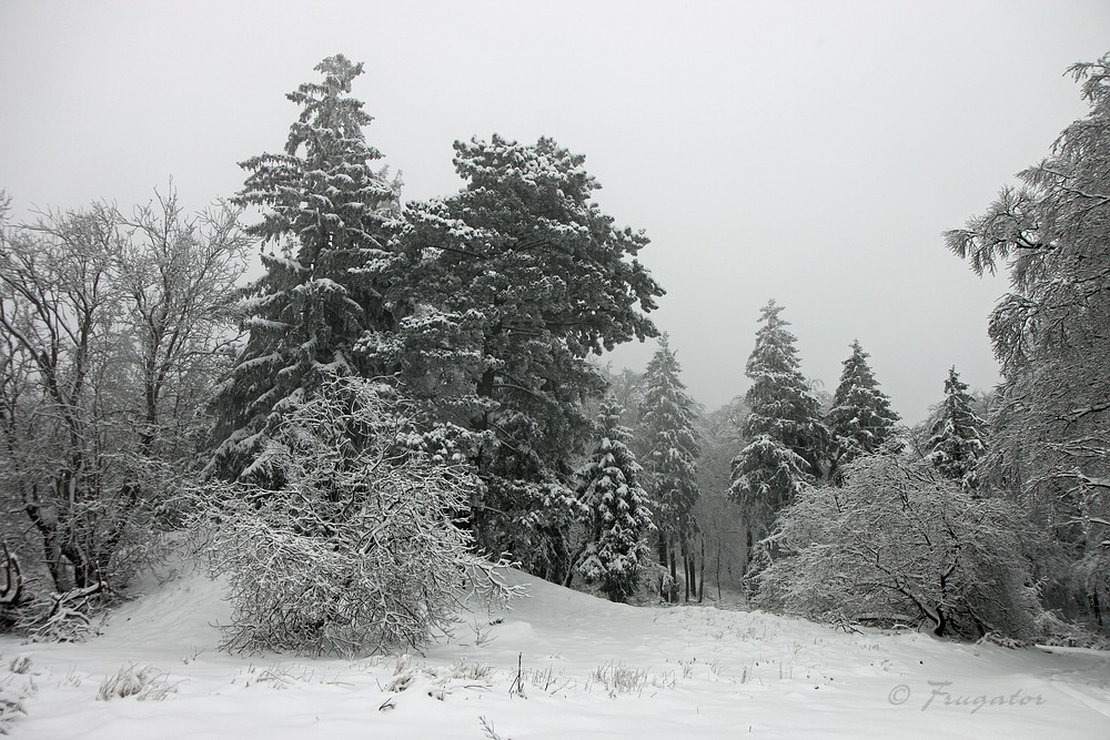 Winterlandschaft im Harz...