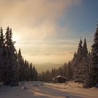 Winterlandschaft im Harz