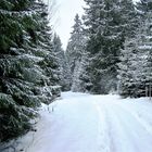 Winterlandschaft im Harz