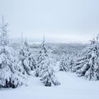 Winterlandschaft im Harz