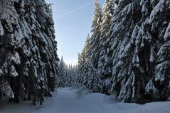 Winterlandschaft im Harz