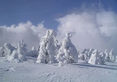 Winterlandschaft im Harz