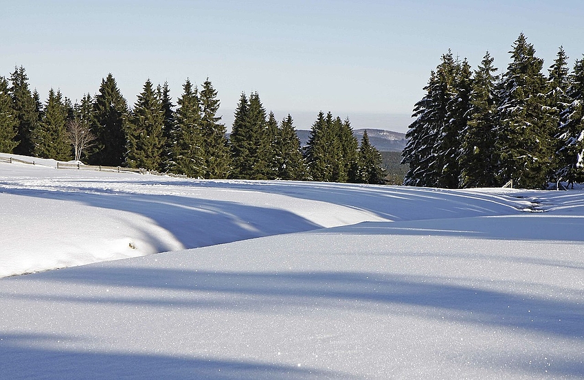 Winterlandschaft im Harz